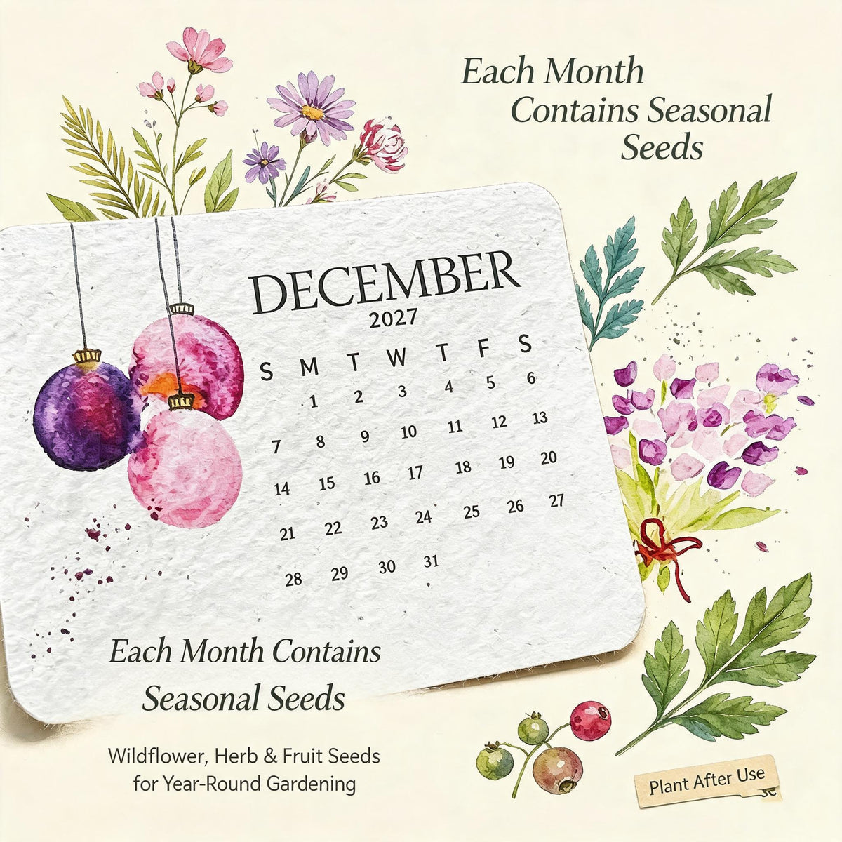 đąEco-Friendly Plantable "Timeless" Seed Calendar 2027 ⨠Planâ˘Plantâ˘Growâ˘Enjoy